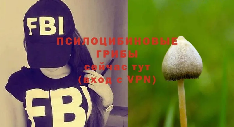 Псилоцибиновые грибы MAGIC MUSHROOMS  купить наркотики цена  Алдан 